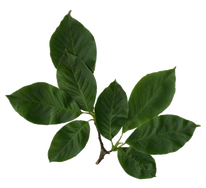 rectangular kantha quilt in natural earthy colours